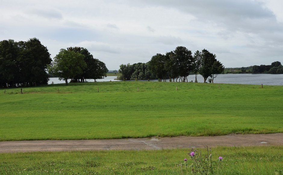 Grünland beim Rosenhofsee. Die Insel des Gewässers ist in der Mitte des Bildes zu sehen.