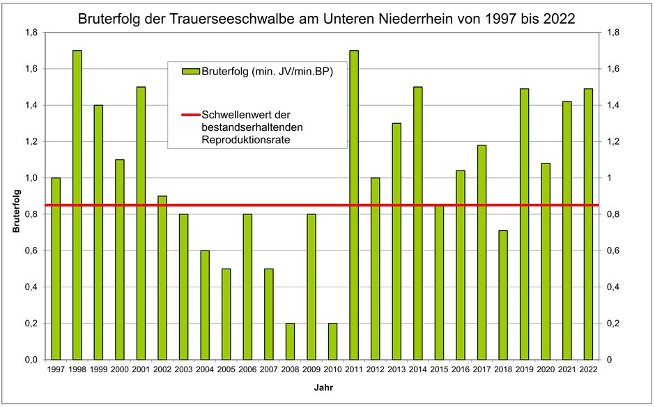Bruterfolg der Trauerseeschwalbe am Unteren Niederrhein von 1997 bis 2022