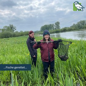 Svea posiert mit einem Fisch im Kescher, der sich in einen kleinen Graben verirrt hat und alleine nicht mehr zurück gekommen wäre.