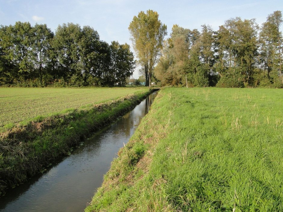 Uedemer Bruch