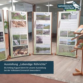 Foto der Ausstellung "Lebendige Röhrichte" die bis Anfang August bei der VoBa Emmerich zu sehen ist. Foto der Ausstellung "Lebendige Röhrichte" die bis Anfang August bei der VoBa Emmerich zu sehen ist.