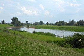 Der Reeser Altrhein hat bereits einen hohen Wasserstand
