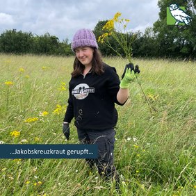 Svea zeigt stolz eine Jakobskreuzkrautpflanze.