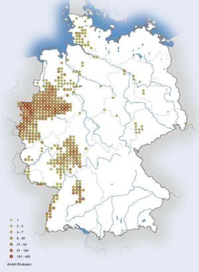 Brutverbreitung des Steinkauzes 2002—2004 (Gedeon et al. 2004)